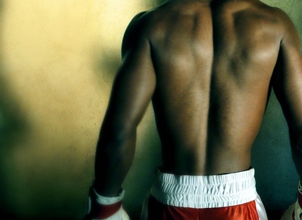 boxer's back